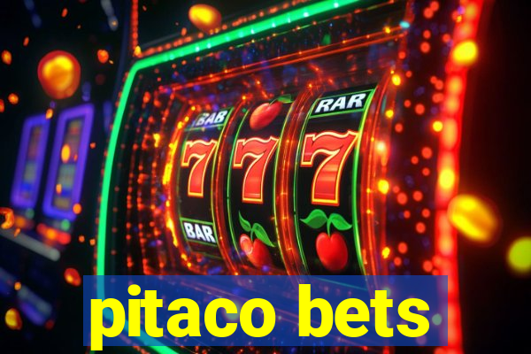 pitaco bets